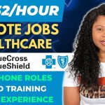 Blue Cross Blue Shield Remote Jobs