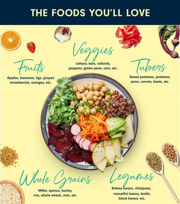 Whole Foods Plant Based Recipes for Beginners